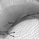 Image for article titled The Ancient Draa of Mars are Epic Waves of Sand